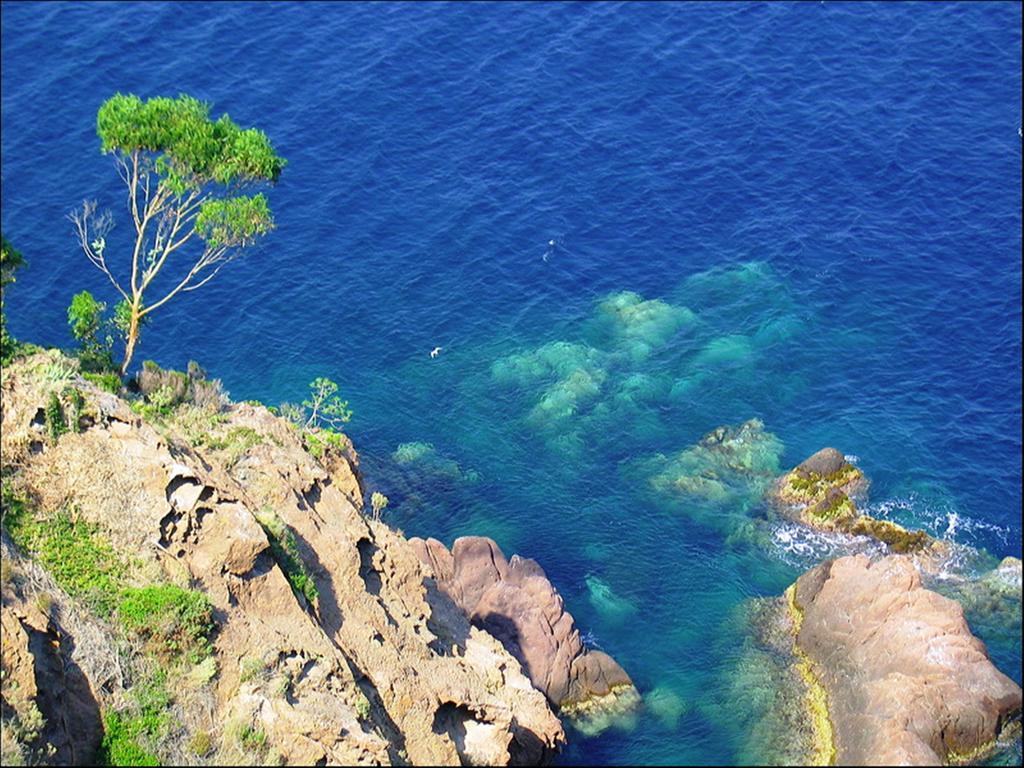 Vacanceole - Les Calanques Du Parc Fréjus Εξωτερικό φωτογραφία